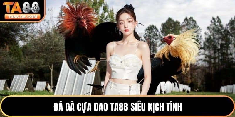 Đá gà cựa dao TA88 siêu kịch tính