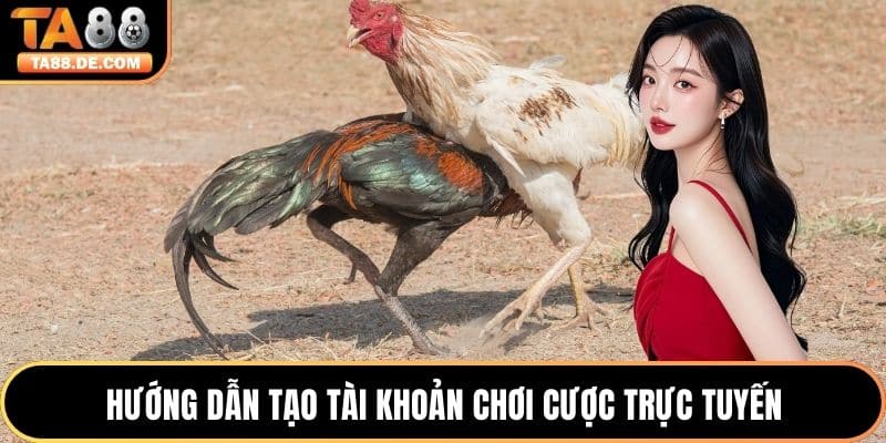 Hướng dẫn tạo tài khoản chơi cược trực tuyến