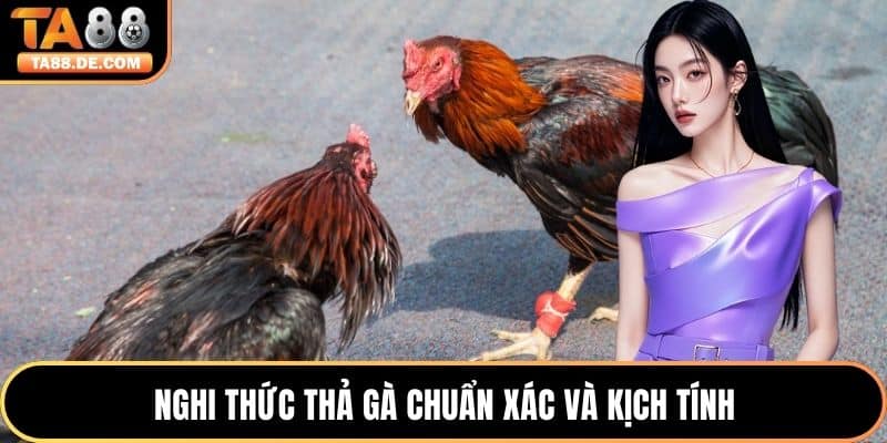 Nghi thức thả gà chuẩn xác và kịch tính
