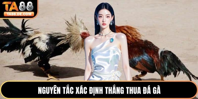 Nguyên tắc xác định thắng thua đá gà
