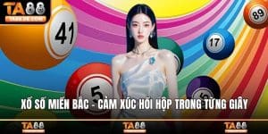 Xổ Số Miền Bắc